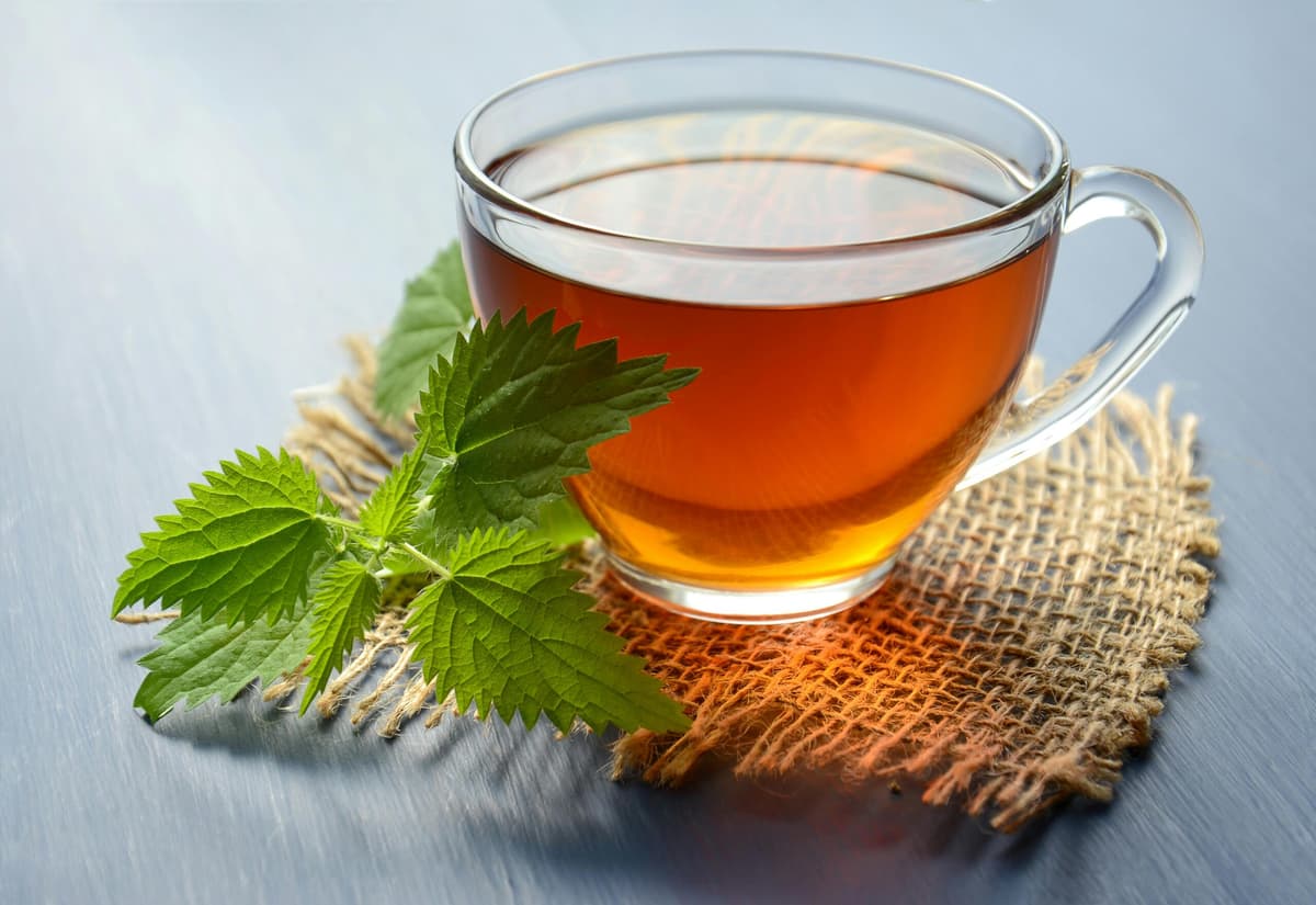 Organic Green Tea